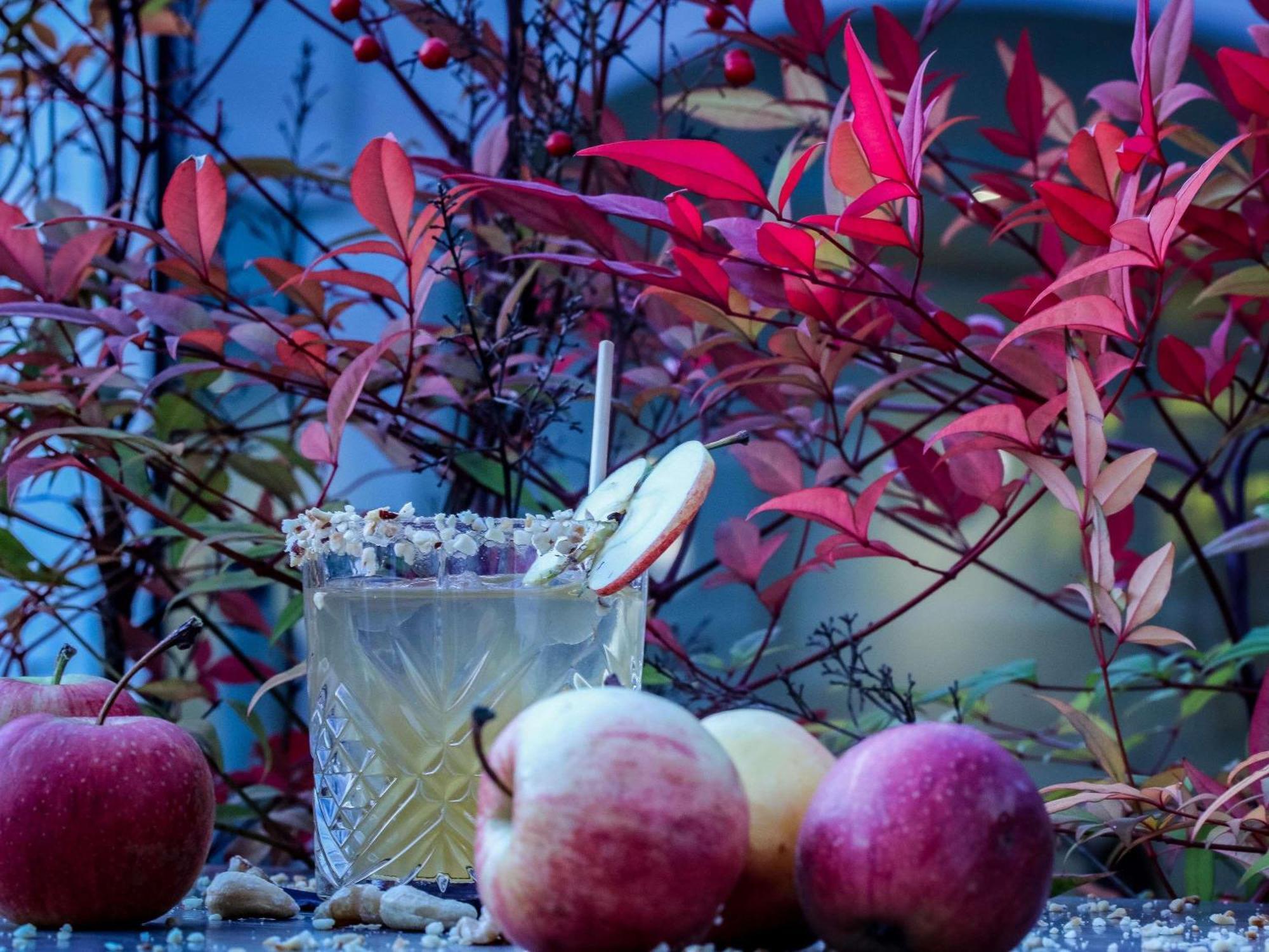 Mercure Aix-Les-Bains Domaine De Marlioz Hotel & Spa Bagian luar foto